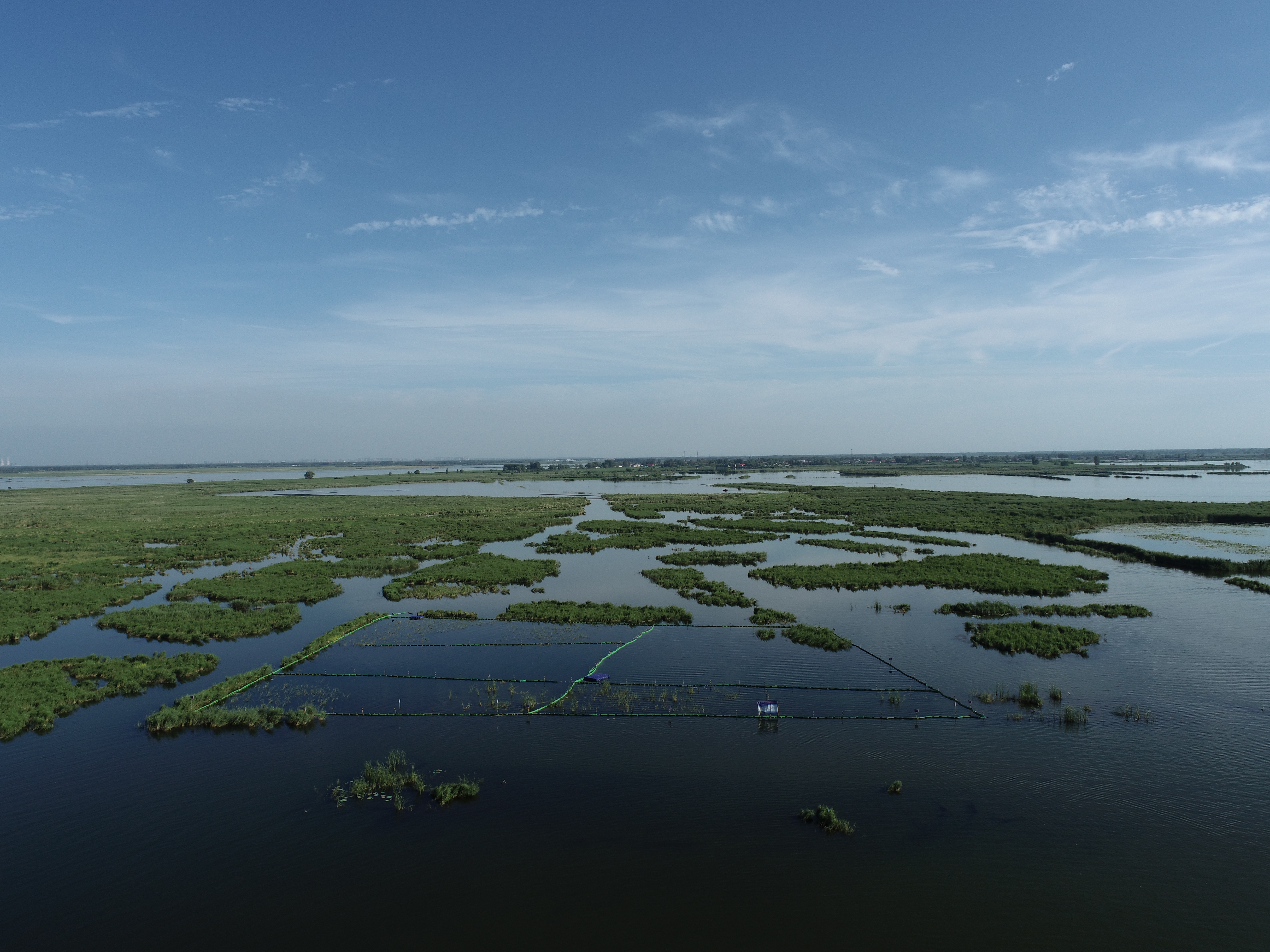 雄安新區(qū)白洋淀水生植被生態(tài)調(diào)控修復(fù)技術(shù)及示范研究項目實驗區(qū).jpg